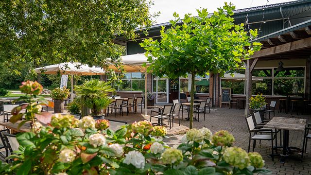 Terras