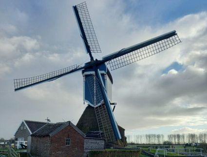 Groote Molen in Zoeterwoude
