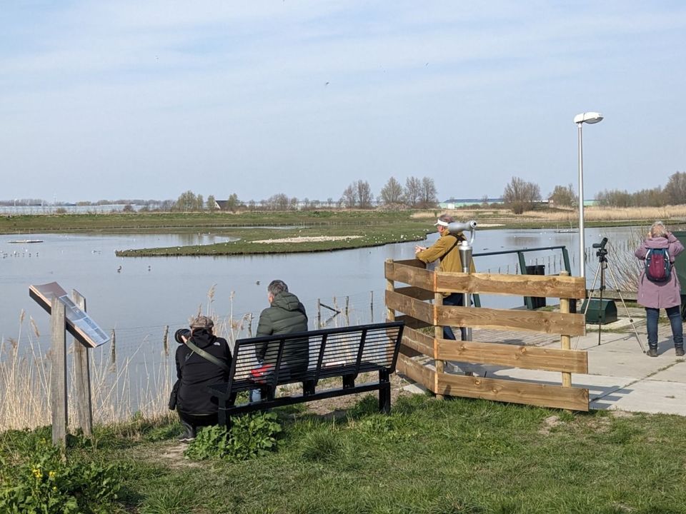Vogels spotten in het Midden-Delfland