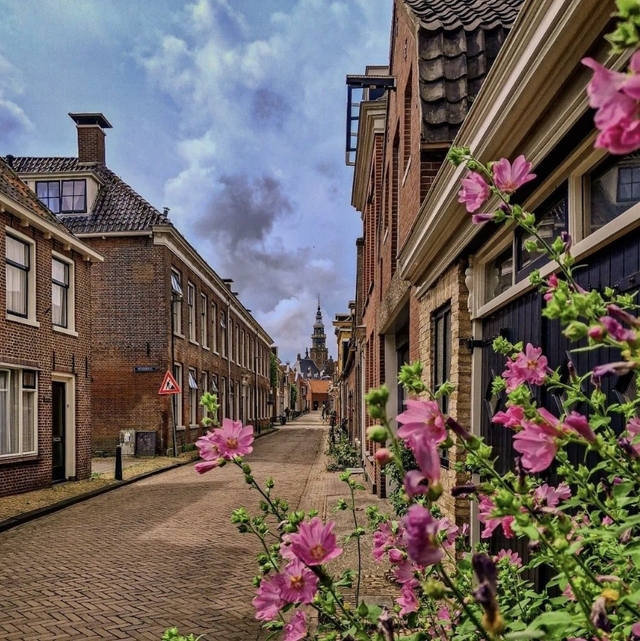 Een straatje in Bolsward met uitzicht op de kerktoren en op de voorgrond roze bloemen.