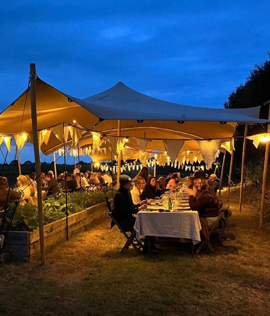 Pop-up restaurant DYO