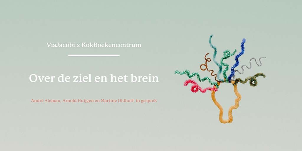 Over de ziel en het brein