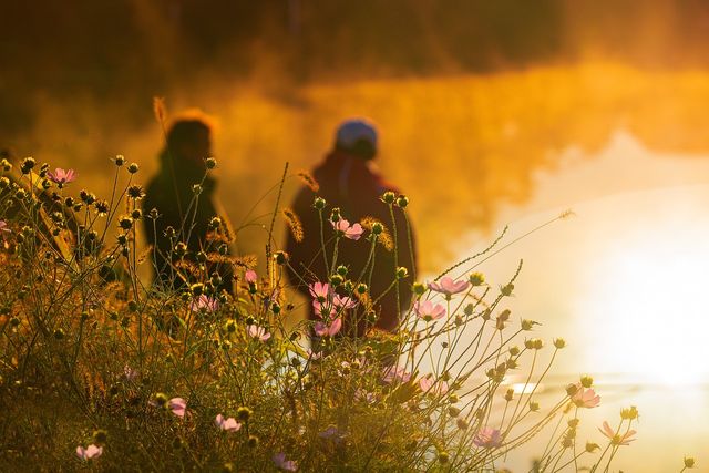 Mensen wandelen in natuur