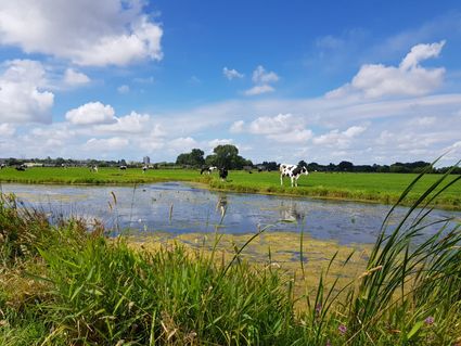 Het uitzicht in de Boterhuispolder.