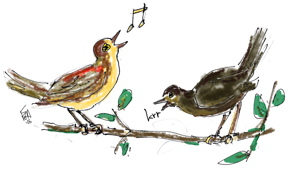 Twee getekende vogeltjes