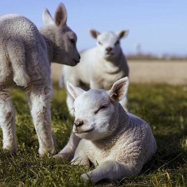 phpbcmv104t0qv77srguQ4