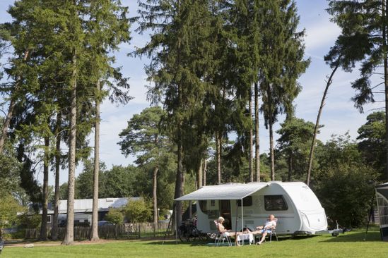 Camping Pieterom