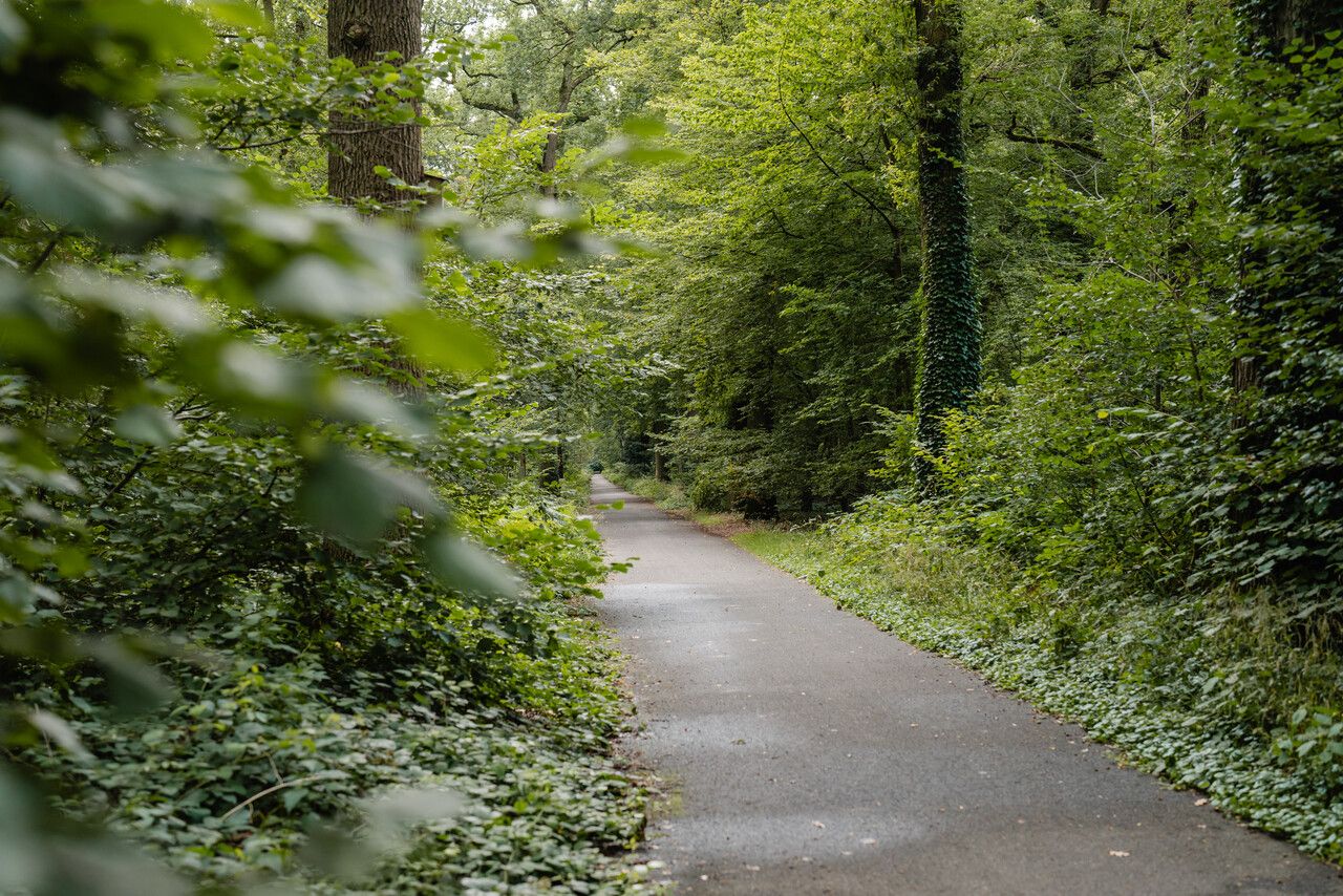 Pad in stadspark de Warande