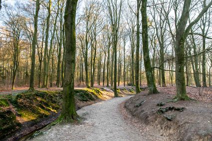 Landgoed Hoekelum - BezoekEde
