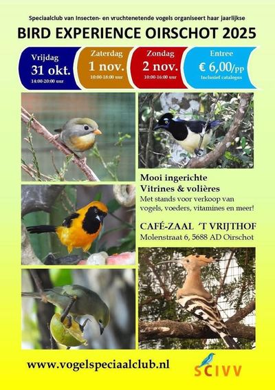 aankondiging Bird Experience Oirschot
