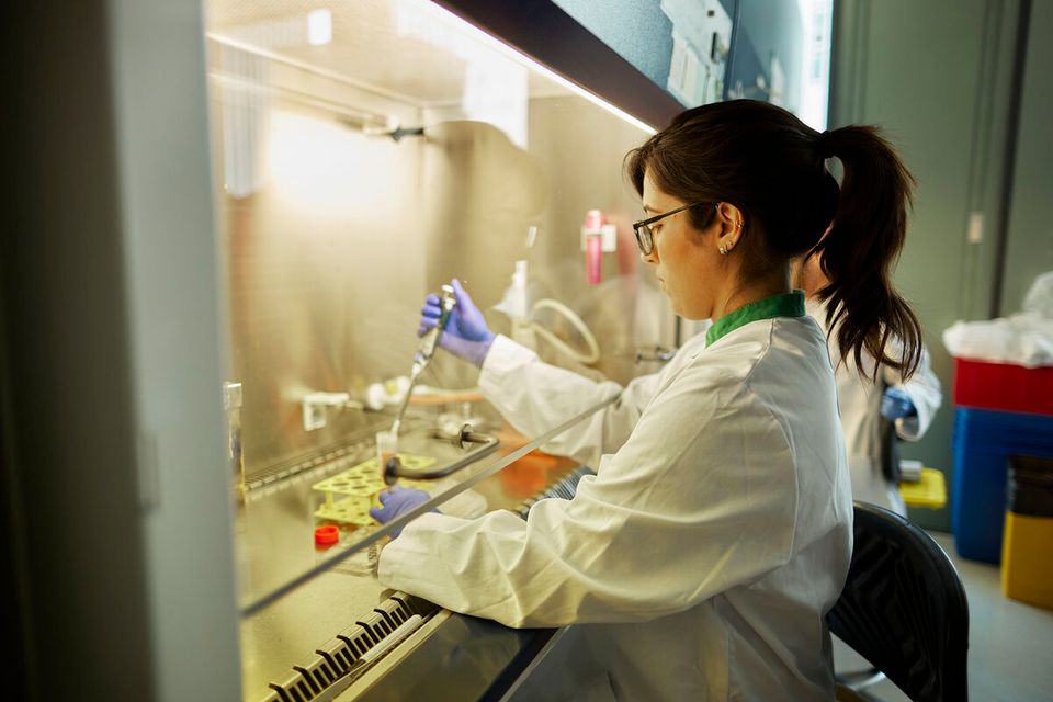 Lab