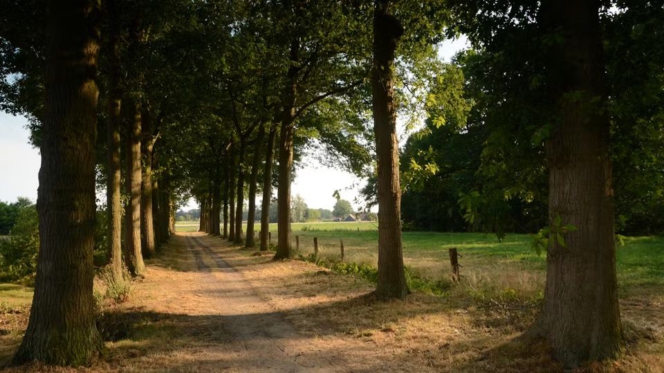 Voorjaarswandeling Scholtengoed Gossink