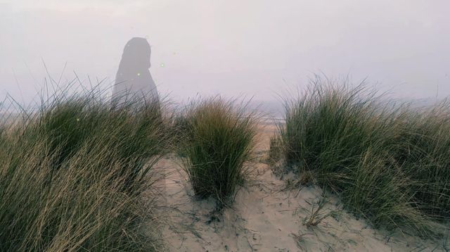 Dan a Run Vlieland