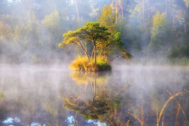 Sfeervolle foto van een Oisterwijks ven met eilandje in de mist.