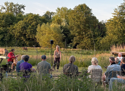 Verhalen in het veld