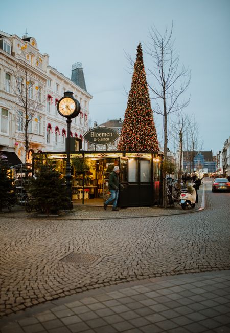 magic maastricht Christmas holidays poshoorn Christmas tree stall eighty8things