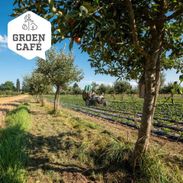 Groen Café: Lezing Agroforestry – Duurzame landbouw met toekomst