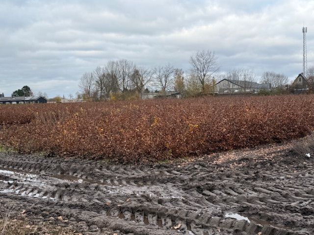 winterwandeltocht DJA