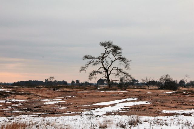 ven in natuurgebied