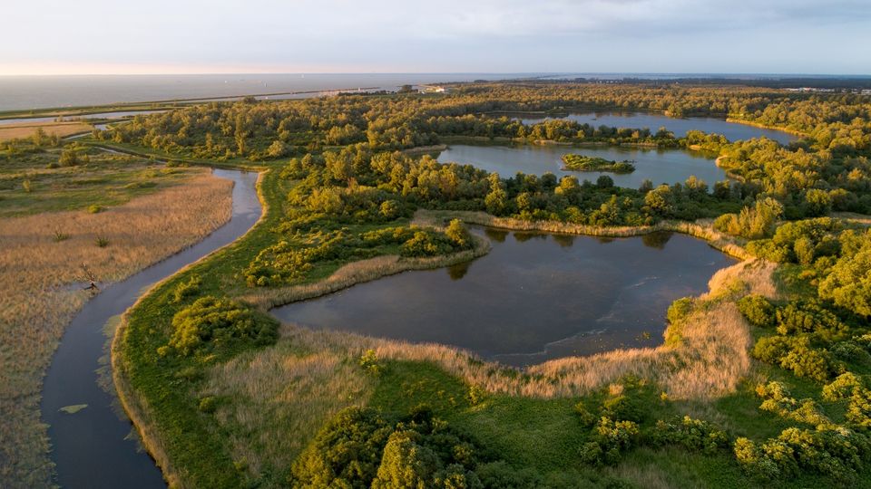 natuur lepelaarplassen almere