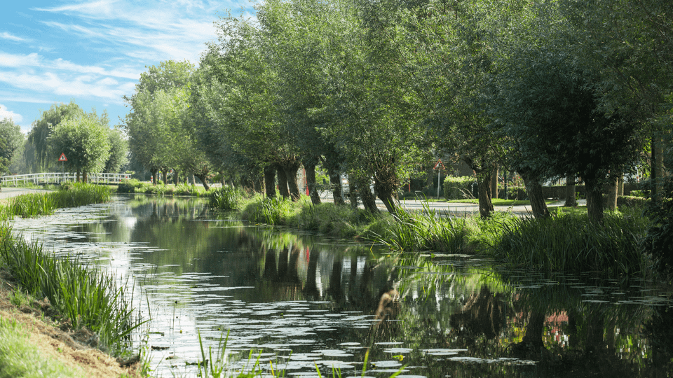 Groene Hart: Schoonhoven natuur header