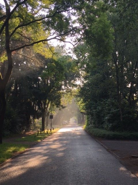 Het Trompplein in Amerongen is in de mist gehuld