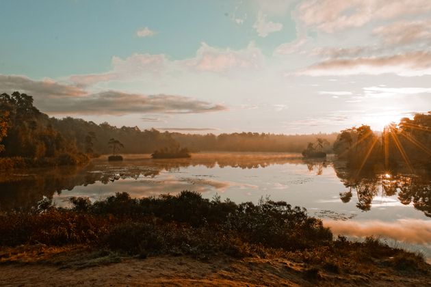 Oisterwijkse bossen en vennen