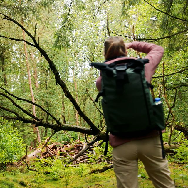 Een vrouw fotografeert de Drentse natuur.
