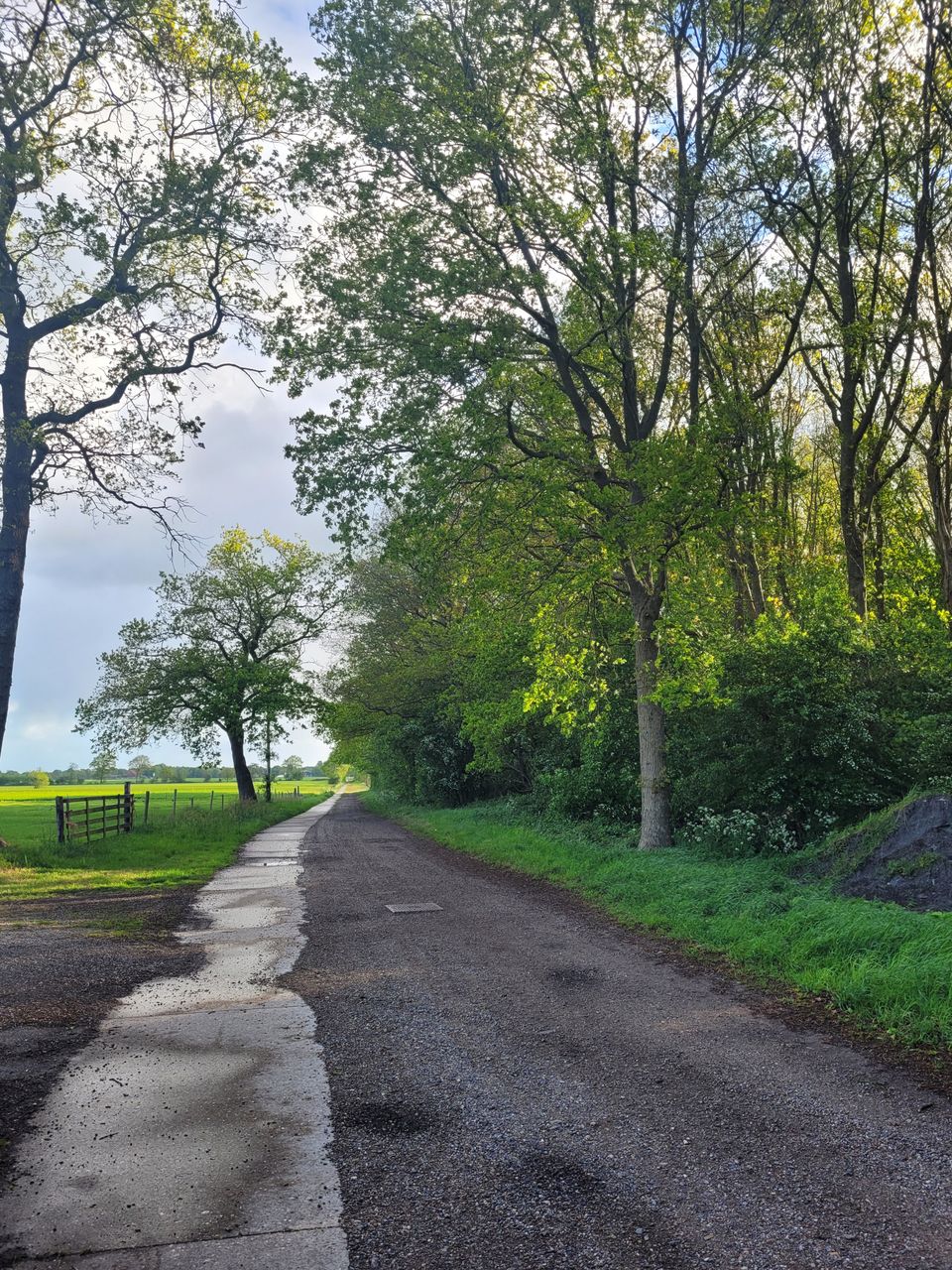 Drachten en omgeving | fietsen langs de Turfroute