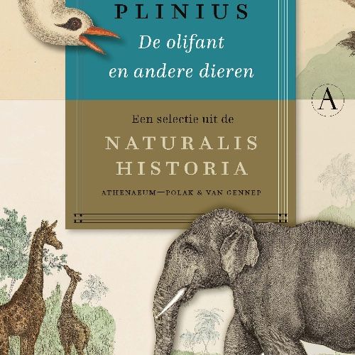 Plinius, De Olifant en andere Dieren
