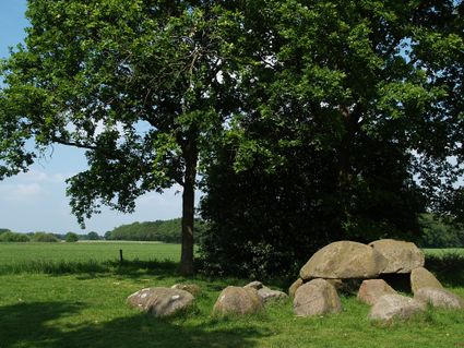 Hunebed Westervelde © Hans Dekker-Het Drentse Landschap