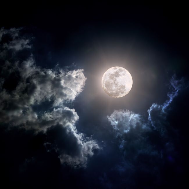 Volle maan