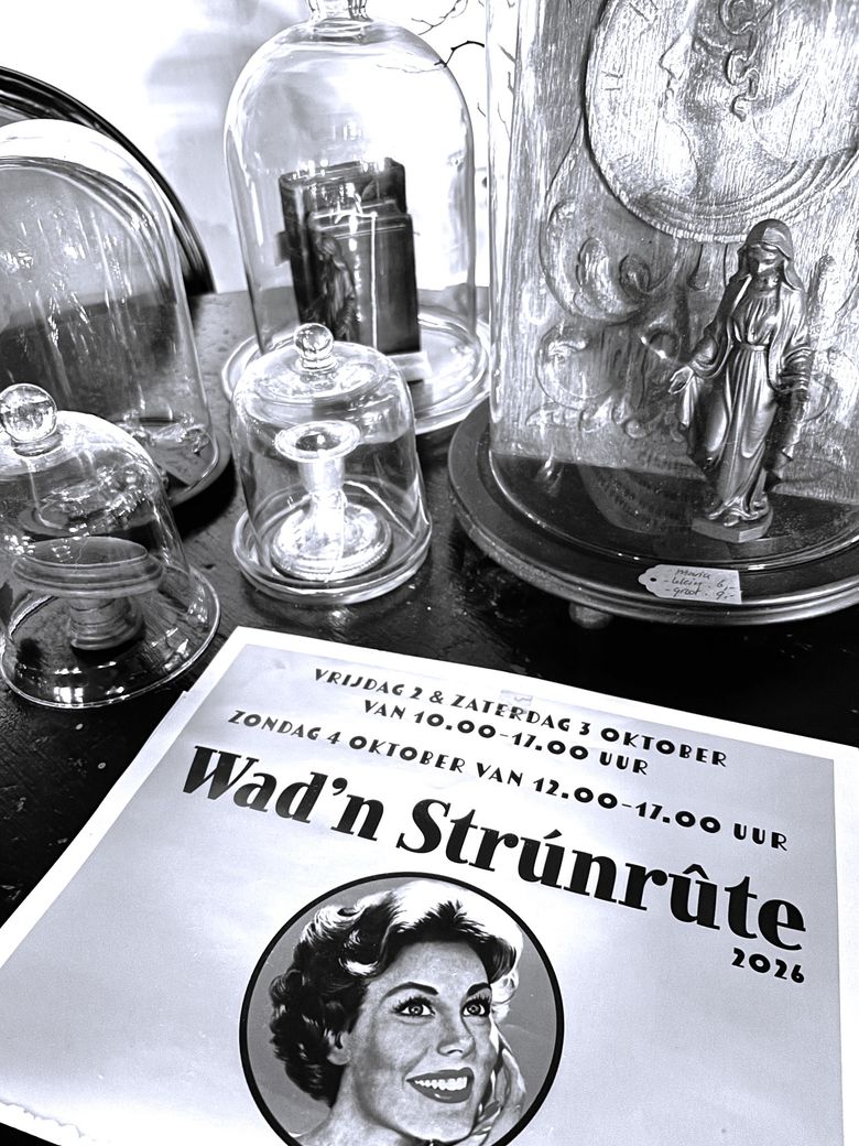 Sneupen bij de Wad'n Strúnrûte
