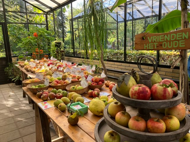 Oude appelrassen