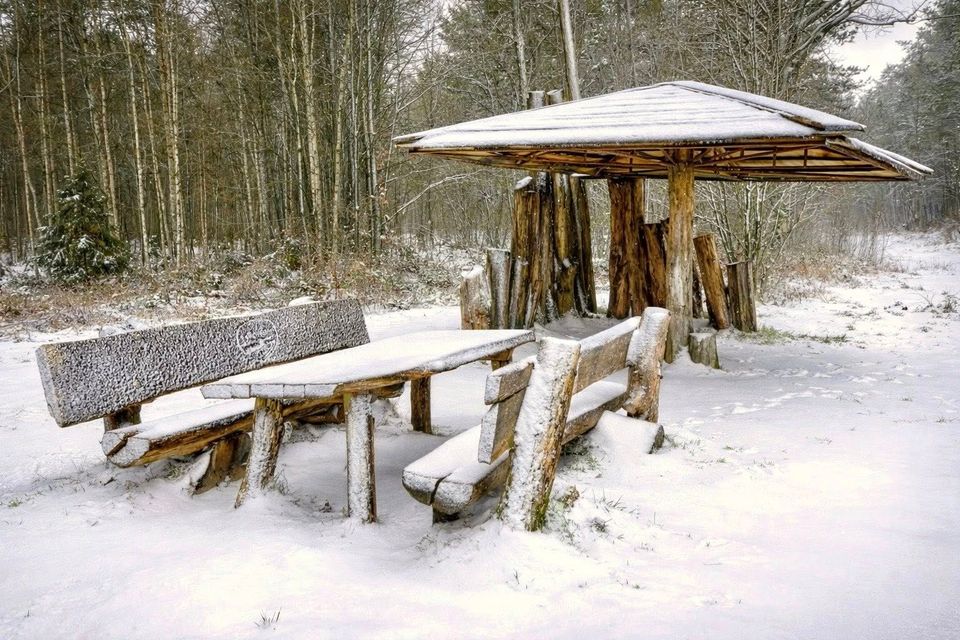 De Kempen winters landschap
