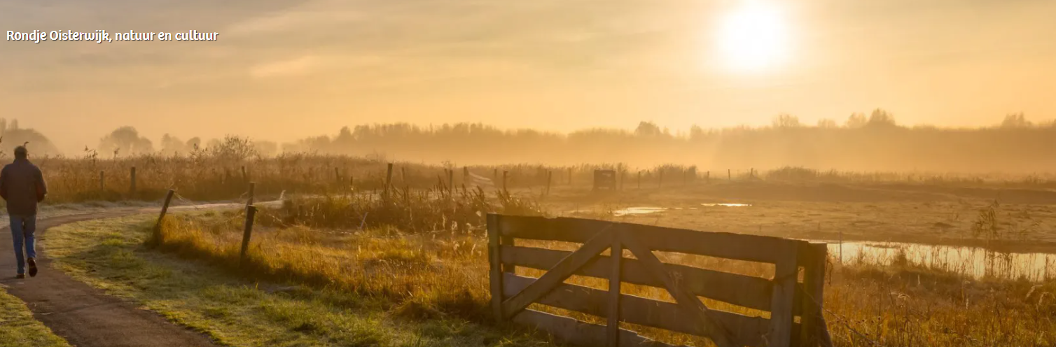 een man loopt langs een weiland