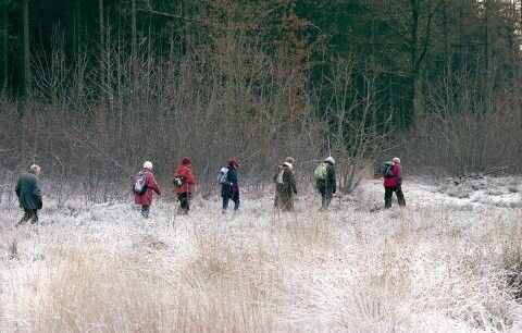 Winterwandeling
