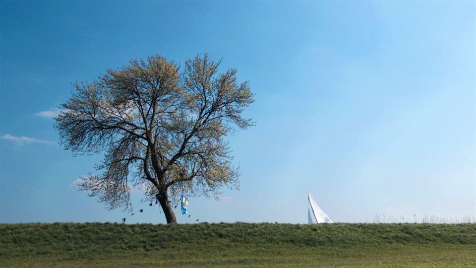 De Jeneverboom langs de Kagerplassen