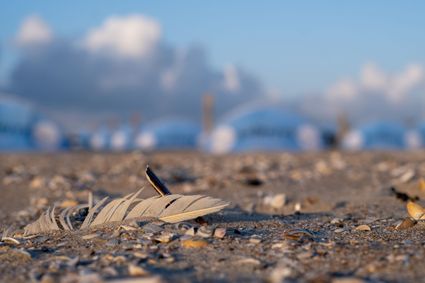 Wellness op Vlieland