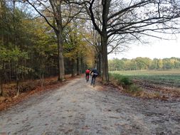 MTB najaar