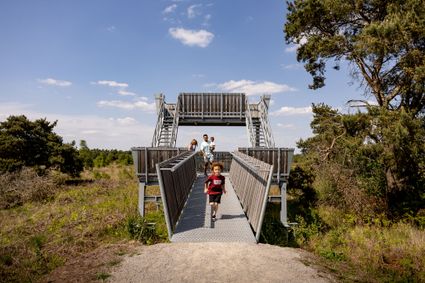 een gezin loopt van een uitkijktoren naar beneden
