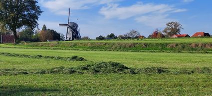Gelderse Molendag | Molen Bataaf