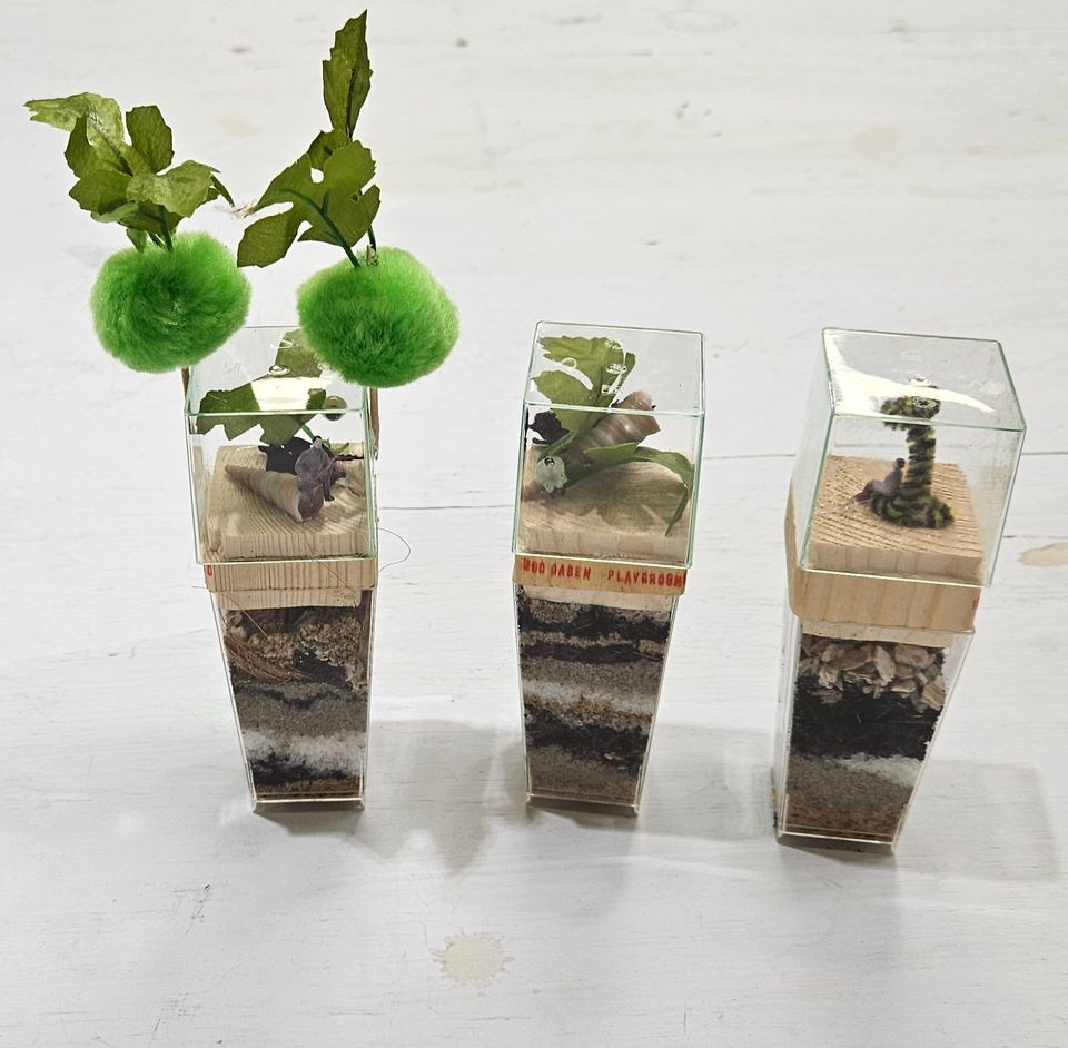 Mini terrariums bouwen