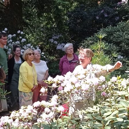 Foto genomen tijdens de rondelding waarbij moeders luisteren naar de verhalen van de gids