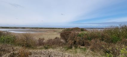 Kroonspolders voorjaar Vlieland (klein)