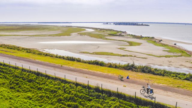 Fietsen langs de Krammerse Slikken