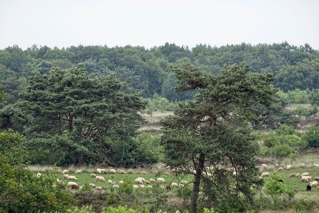 Zicht Havelterberg