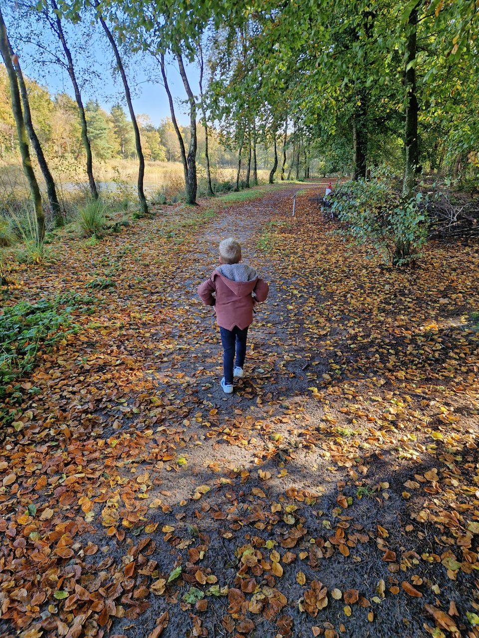 Jongetje loopt op het kabouterpad in Sint Nicolaasga.