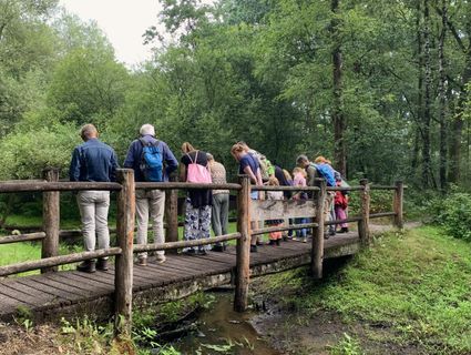 Groep wandelaars met gids bij bruggetje