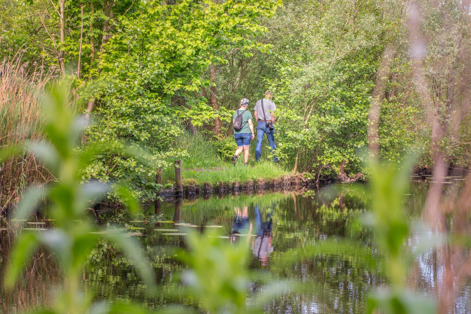 Natuurgebied Baggerputten